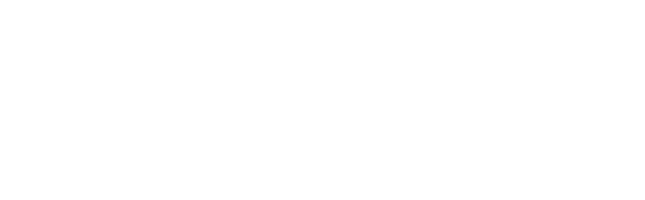 Budget-saudi-white