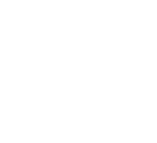 budget